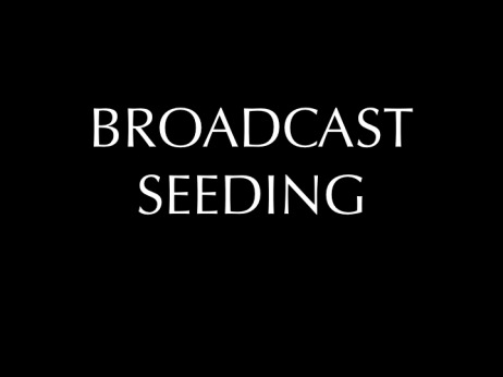 Broadcast Seeding Title Slide